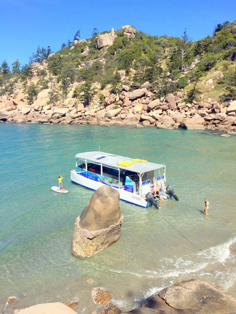 best bus tours magnetic island